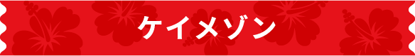 ケイメゾン